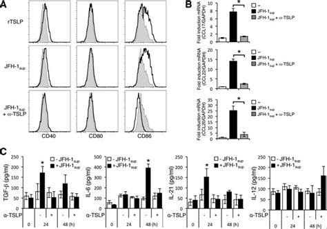 Tslp Released By Jfh Infected Cells Activates Human Monocyte Derived