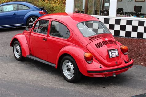 Mexican Beetle Rossvw