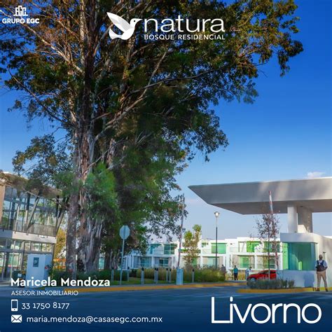 Maricela Mendoza ejecutiva comercial - Home