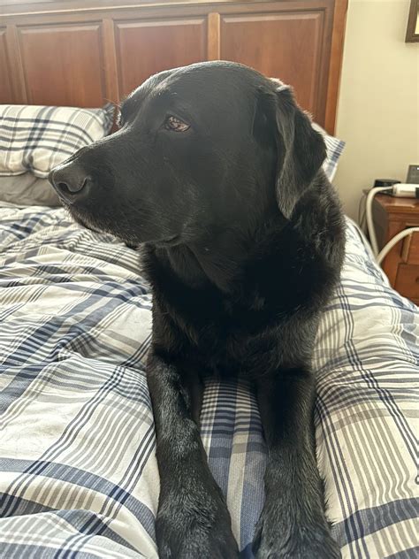 Ex Gay Patriot On Twitter