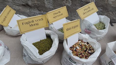 Spain Morocco Agri Food Balance Maintains A Surplus Of One Billion