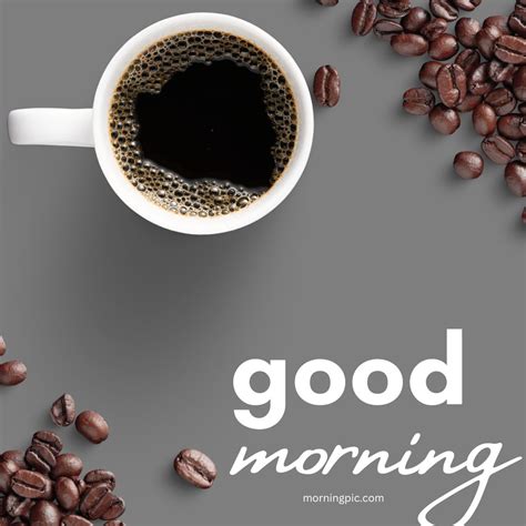 250 Beautiful Good Morning Coffee Images  Video Photos