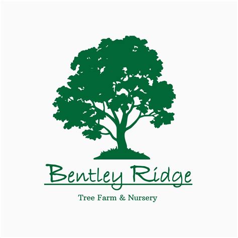 bentley ridge tree farm