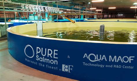 New Land Based Salmon Producer Bares Plans To Build Global RAS