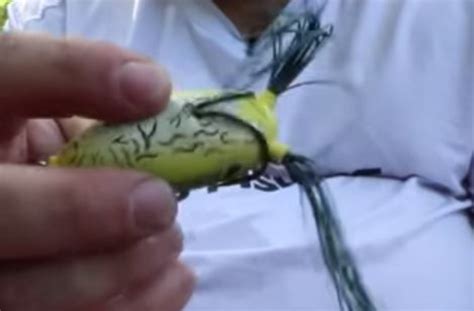 Hollow Body Frog Modifications To Catch More Bass Barb Catch Fishing