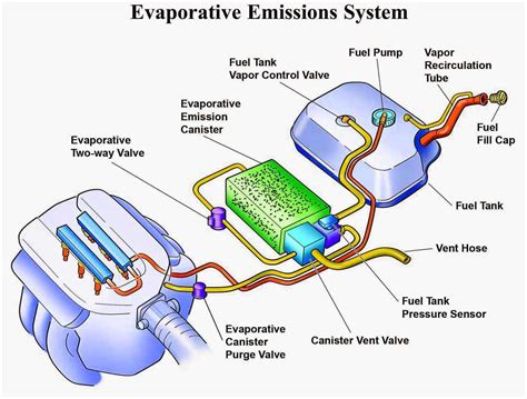 Understanding The Evap System In A 2003 S10 A Visual Diagram