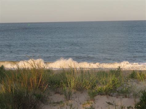 Delaware Seashore State Park Delaware Beaches Online Events News