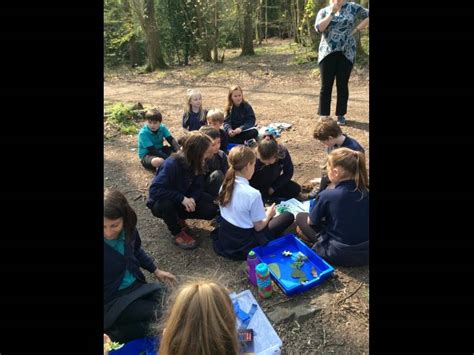 Dobcroft Junior School Y5f Spend The Afternoon In The Woods