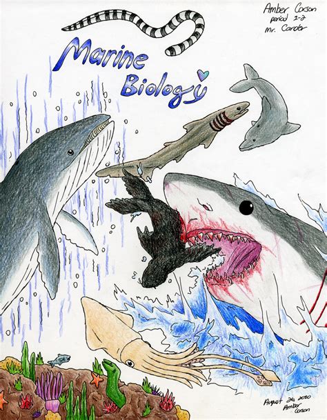 Marine Biology Binder Cover By Cavyspirit On Deviantart