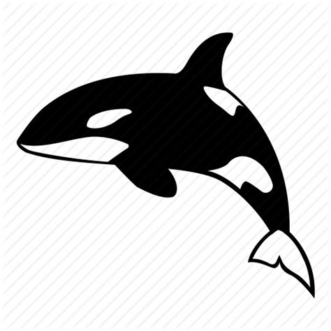 Whale Icon Free Icons Library