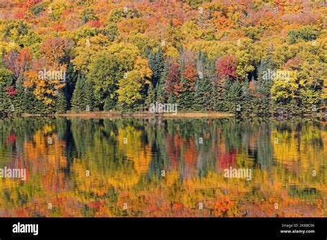Perfect reflections of fall colors at Monroe Lake, Mont-Tremblant ...