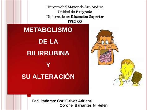 PDF Metabolismo De La Bilirrubina Y Su Alteracion DOKUMEN TIPS