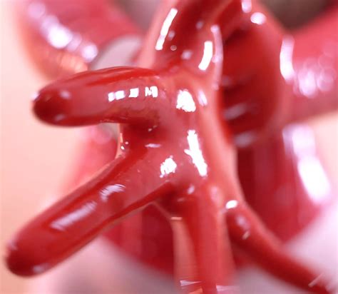 Red F Etish Latex Gloves Oc Nudes Latexclothing NUDE PICS ORG