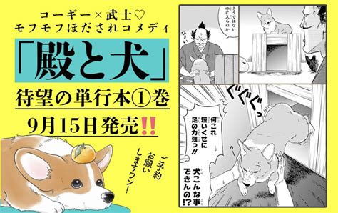 「コーギーのプリッとかわいい姿も 盛りだくさん ️🐶 ️ 時は昔、もしもうっかり 武士とコーギーが出会ったら そん」🐯コミックス①②巻発売中