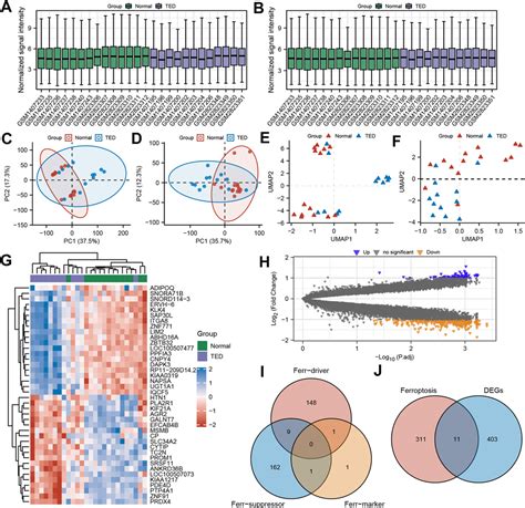 Novel Insights Into The Pathogenesis Of Thyroid Eye Disease Through