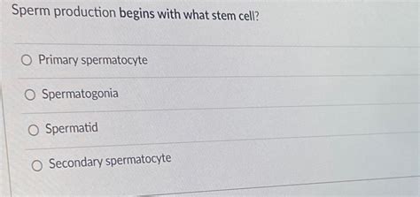 Solved Sperm production begins with what stem cell?Primary | Chegg.com