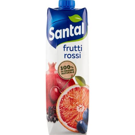 Succo di frutta Santàl Frutti Rossi Brik 1 L Tetra Pak