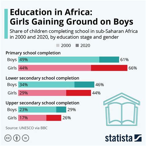 Female Education Statistics In Africa 100 Updated