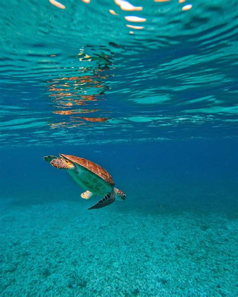 Can You Visit Puerto Rico in October? Everything You Need to Know for