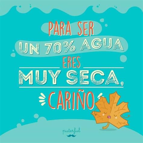 Mr Puterful Mr Wonderful Spanish Quotes Humor Sarcastic Quotes