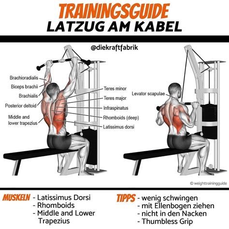 Latzug am Kabelturm so wird s gemacht Fitnessgeräte