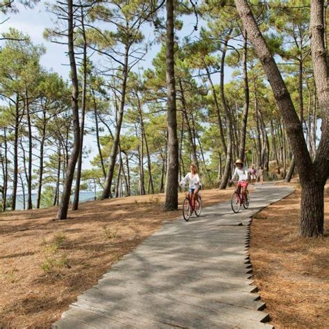 Vivre Le Bassin DArcachon En 4 Visites Bassin D Arcachon Bassin D