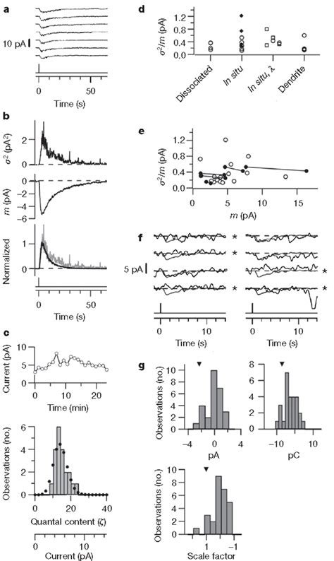 Single Photon Response Of Iprgcs A E Fluctuation Analysis Of Download Scientific Diagram