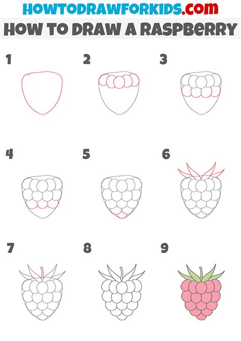 how to draw a raspberry