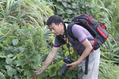 历时10年，宁波首次摸清“家底”！凤凰网宁波凤凰网