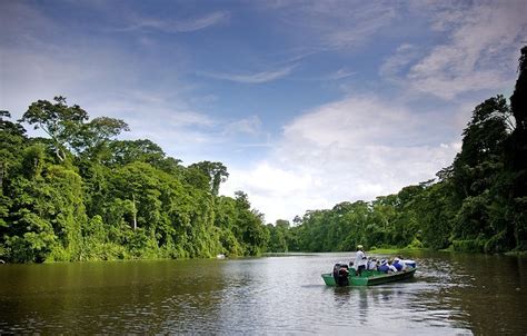 Tour Di 3 Giorni Al Parco Nazionale Del Tortuguero Da San Jose Fornito