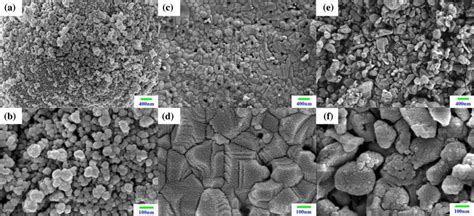 Sem Images Of The Anatase Tio Ab Lafeo Cd And Tio Lafeo