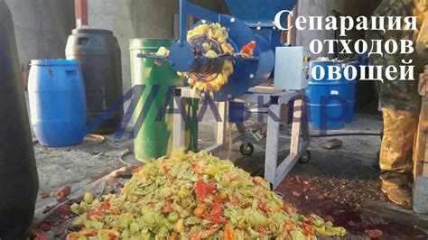 Сепарация овощных отходов - YouTube
