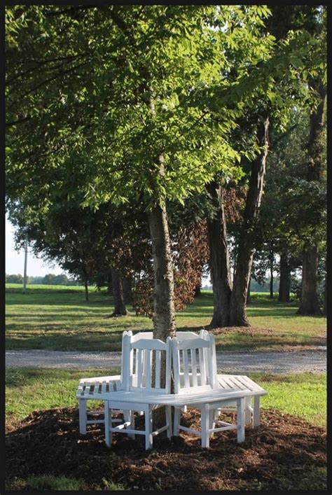 Diy Recycled Chair Tree Bench Tutorial