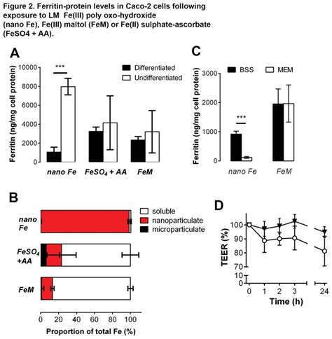 A, Ferritin-protein regulation in differentiated and undifferentiated ... 