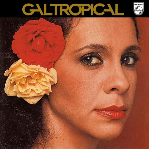 Gal Tropical álbum de Gal Costa Apple Music