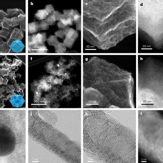 Morphologies Of The FeNC Catalysts Ad Secondary Electron SE