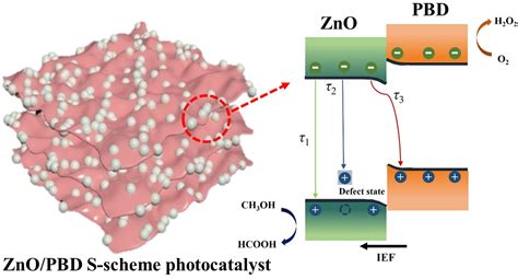 Znod A共轭聚合物s型异质结高效光催化产h 2 O 2 及其电荷转移动力学研究