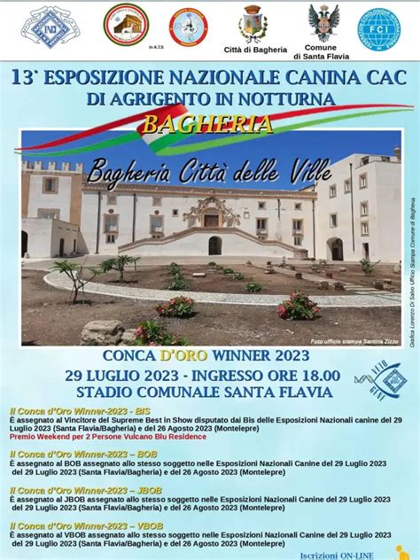 Tredicesima Esposizione Nazionale Canina Cac Di Agrigento Conca D Oro