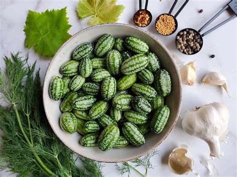 Pickled Cucamelons Sour Gherkins Easy Refrigerator Pickles