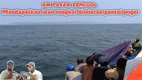 Km Pasar Senggol Mendapatkan Ikan Tongkol Diselatan Pantai Puger Ll