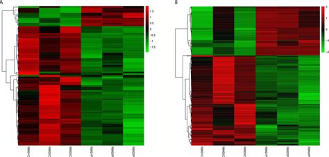 Frontiers Analysis Of Lncrna Mrna Co Expression Profiles In Patients