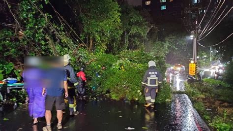 颱風夜淡水路樹倒塌！3騎士遭壓傷 警消急到場協助送醫｜東森新聞：新聞在哪 東森就在哪裡