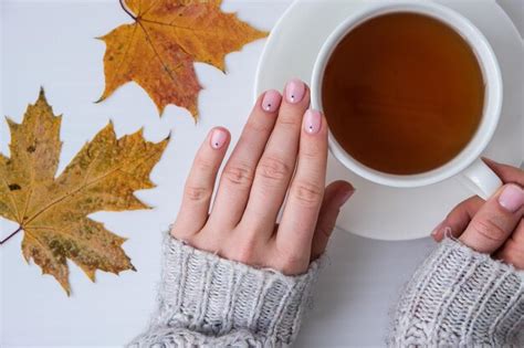 Premium Photo Woman Hands With Beautiful Nude Manicure Holding Autumn Leaves Female Manicure