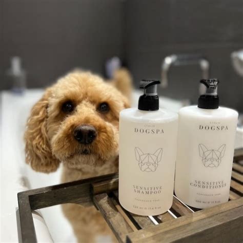 Top 10 Best Dog Shampoos of 2024 - Hunter Games Magazine