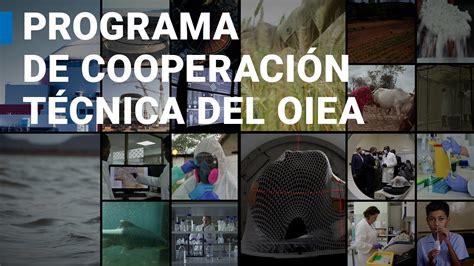 Programa De Cooperaci N T Cnica Oiea