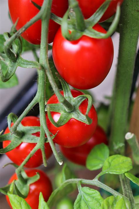 How a corporate funeral turned into a rebirth – Rise With Drew