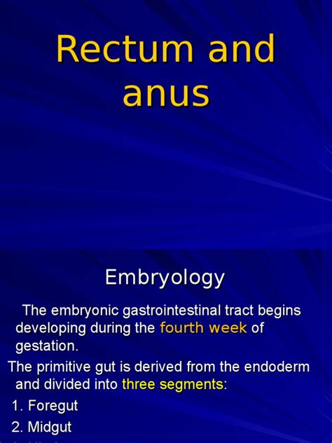 Anorectal Anatomy & Surgical Management | PDF | Hemorrhoid | Constipation