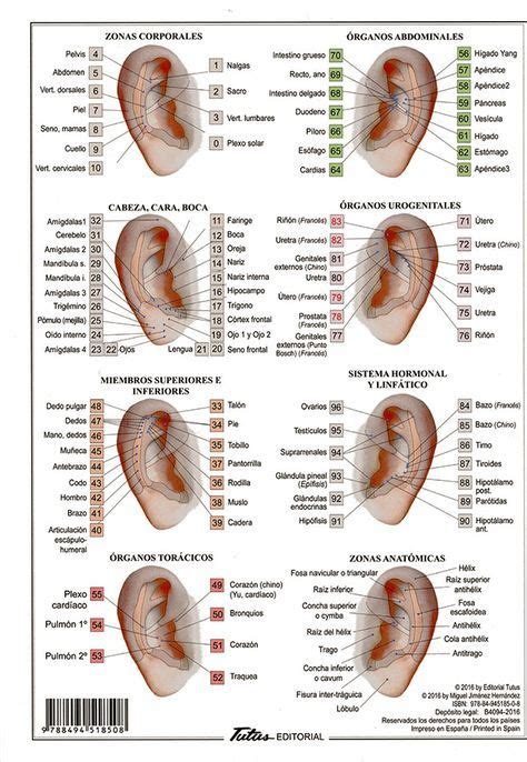 Ear Seed Placement Cheat Sheet Tcm Tips Artofit