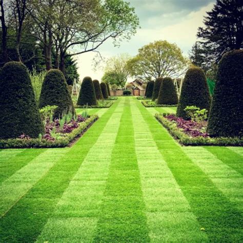 designing   topiary garden jo alderson phillips