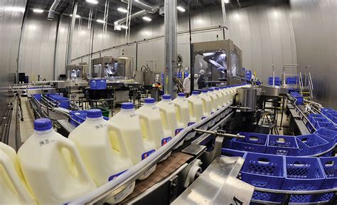 Dairy Industry Milk Production Filtration System In India USA Brazil